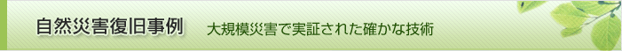 自然災害復旧事例 - 大規模災害で実証された確かな時技術 -