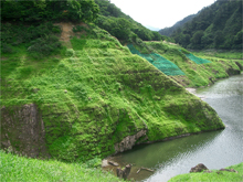 漂着種子(自然侵入)による植生状況