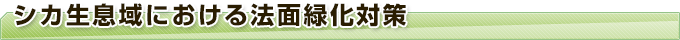 シカ生息域における法面緑化対策