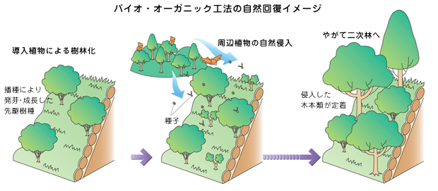 バイオ・オーガニック工法の自然回復イメージ