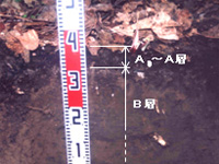 表土厚の確認